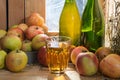 Bottle and glass of cider with apples Royalty Free Stock Photo