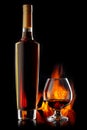 Bottle and glass of cognac Royalty Free Stock Photo