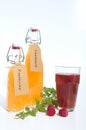 Refreschment with juice beverage and ice Royalty Free Stock Photo