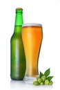 Bottle and glass of cold light beer with foam and green hops Royalty Free Stock Photo