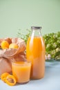 Bottle and glass of fresh apricot juice and plate of apricot on the background Royalty Free Stock Photo