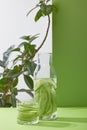 Bottle and glass with fresh drink made of sliced cucumbers and plant on grey