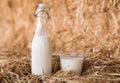 Bottle and glass with fresh milk on the hay