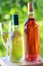 Bottle and glass of green and rose wine Royalty Free Stock Photo