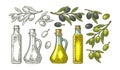 Bottle glass oil with cork stopper and branch olive with leaves Royalty Free Stock Photo