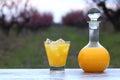 Bottle and glass with orange juice, ice cubes in glass at flower peach tree garden Royalty Free Stock Photo