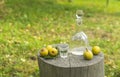 Bottle and glass of pear rakia on rural surrounding