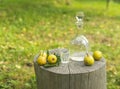 Bottle and glass of pear rakia on rural surrounding Royalty Free Stock Photo