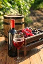 Bottle and glass of red wine with fresh grapes on wooden table in vineyard Royalty Free Stock Photo