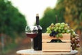 Bottle and glass of red wine with fresh grapes on wooden table Royalty Free Stock Photo