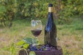 Bottle and glass of red wine, grapes on old barrel Royalty Free Stock Photo