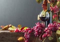 Bottle and glass of red wine and grapes with vine leaves on a old wooden table Royalty Free Stock Photo