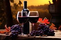 bottle and glass of red wine with grapes on vineyard background, Two glasses of red wine and a bottle in the vineyard with grapes Royalty Free Stock Photo