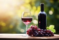Bottle and glass of red wine next to a bunch of grapes with a blurred background Royalty Free Stock Photo