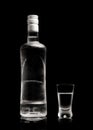 Bottle and glass of vodka standing isolated on black