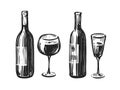 Bottle with a glass of wine. Alcoholic beverage sketch vector illustration