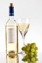 Bottle and glass of wine, grape bunch Royalty Free Stock Photo