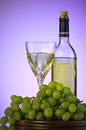 Bottle and glass of wine, grape bunch Royalty Free Stock Photo