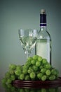 Bottle and glass of wine, grape bunch Royalty Free Stock Photo