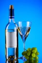 Bottle and glass of wine, grape bunch Royalty Free Stock Photo