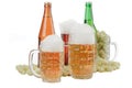 Bottle and glasses of cold light beer and hops Royalty Free Stock Photo