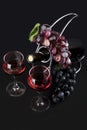 Bottle, glasses with red wine and vine on black background Royalty Free Stock Photo