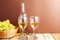 Bottle and glasses of white wine and grapes Royalty Free Stock Photo