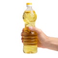 A bottle of golden sunflower oil in the hand. Product on a white isolated background without a label Royalty Free Stock Photo