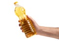 A bottle of golden sunflower oil in the hand. Product on a white isolated background without a label Royalty Free Stock Photo