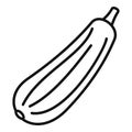 Bottle gourd icon, outline style