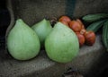 Bottle gourd in market