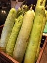 Bottle gourds Royalty Free Stock Photo