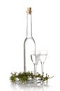 Bottle of grappa made of juniper berries Royalty Free Stock Photo