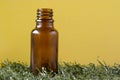Bottle on Grass Royalty Free Stock Photo