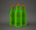 Bottle grass Royalty Free Stock Photo