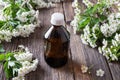 A bottle of hawthorn tincture with hawthorn flowers Royalty Free Stock Photo