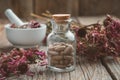 Bottle of herbal pills, mortar of healthy echinacea herbs and dry coneflower bunch on table.