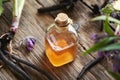A bottle of herbal tincture with fresh comfrey root Royalty Free Stock Photo