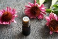 A bottle of herbal tincture with fresh echinacea flowers