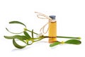 A bottle of herbal tincture with fresh mistletoe twigs