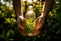 A bottle of herbal tincture of medicinal herbs in male hands against a background of green plants. Natural pharmacy. Homeopathic