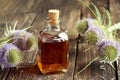 A bottle of herbal tincture with wild teasel flowers. Alternative medicine