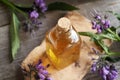 A bottle of homemade comfrey root tincture Royalty Free Stock Photo