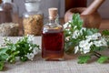 A bottle of hawthorn tincture with fresh blooming hawthorn branches Royalty Free Stock Photo