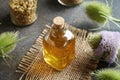 A bottle of homemade herbal tincture with wild teasel flowers Royalty Free Stock Photo