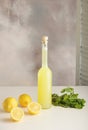 Bottle of homemade juice with mint and lemon on light background.