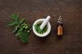 Bottle of homeopathic globules. Thuja occidentalis twigs and mortar. Homeopathy medicine concept. Royalty Free Stock Photo