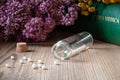 A bottle of homeopathic pills with dried herbs and materia medica Royalty Free Stock Photo