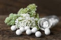 Bottle, homeopathic remedy and flowers on wooden table, closeup