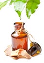 Bottle with homeopathy balm and leaf